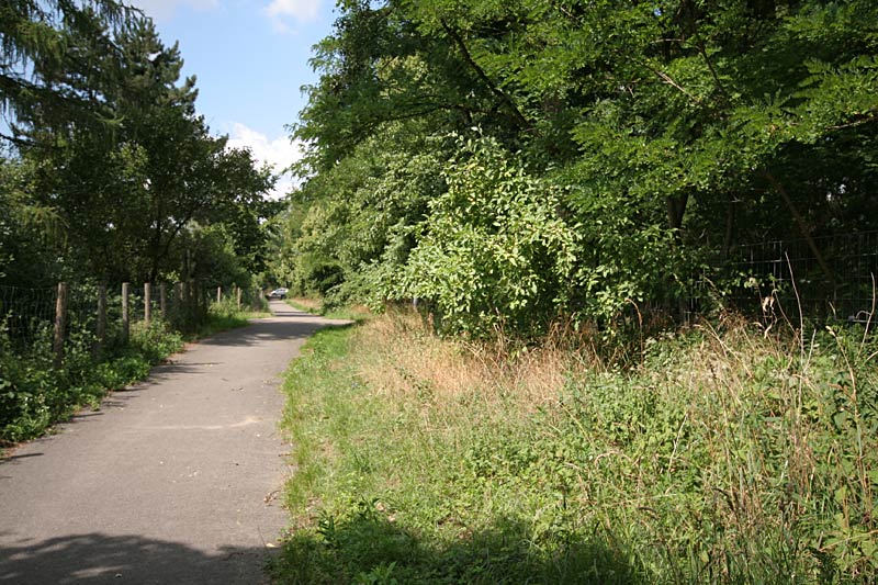 Galeriebild "rudower-hoehe-06.jpg"