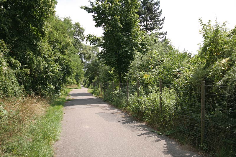 Galeriebild "rudower-hoehe-08.jpg"