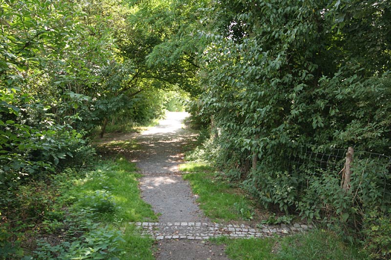 Galeriebild "rudower-hoehe-11.jpg"