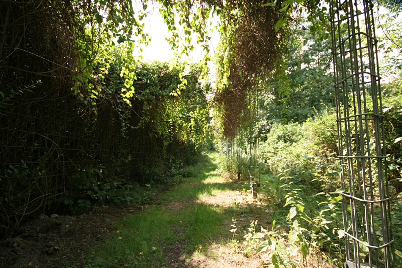 Galeriebild "rudower-hoehe-12.jpg"