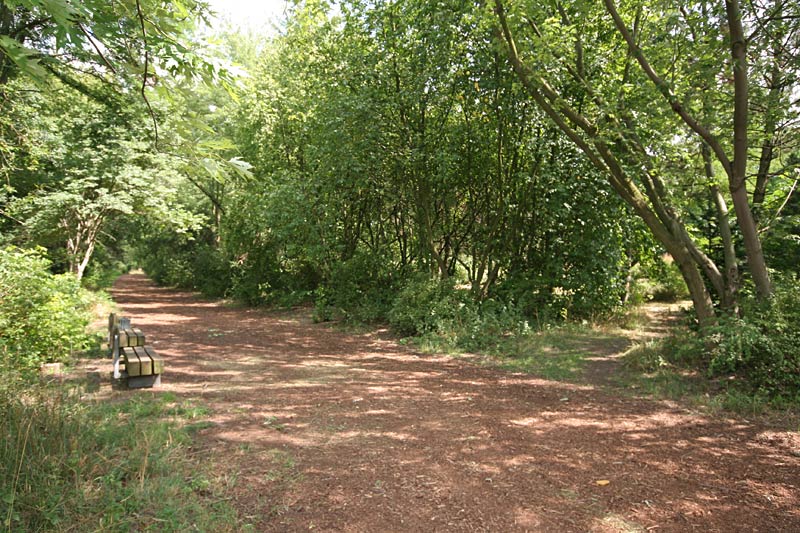 Galeriebild "rudower-hoehe-14.jpg"