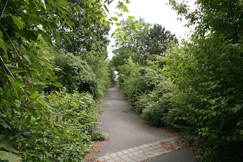 Galeriebild "rudower-hoehe-17.jpg"